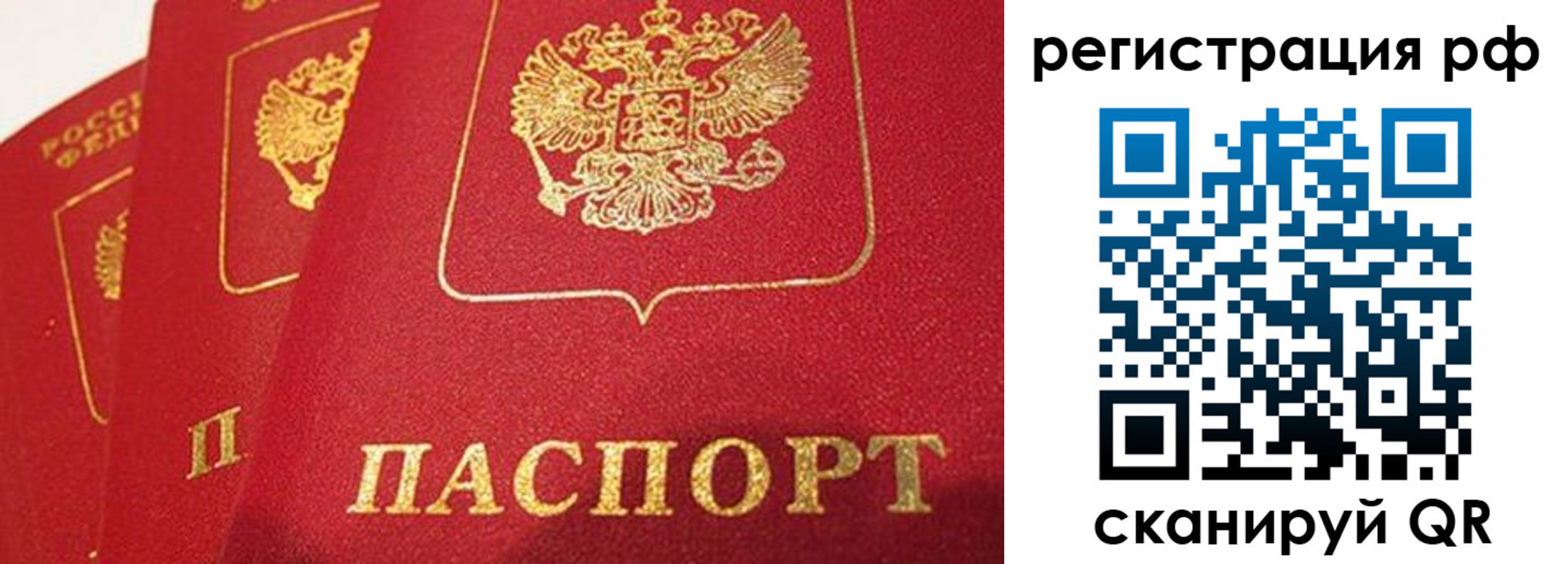 прописка поиск в Сосновоборске